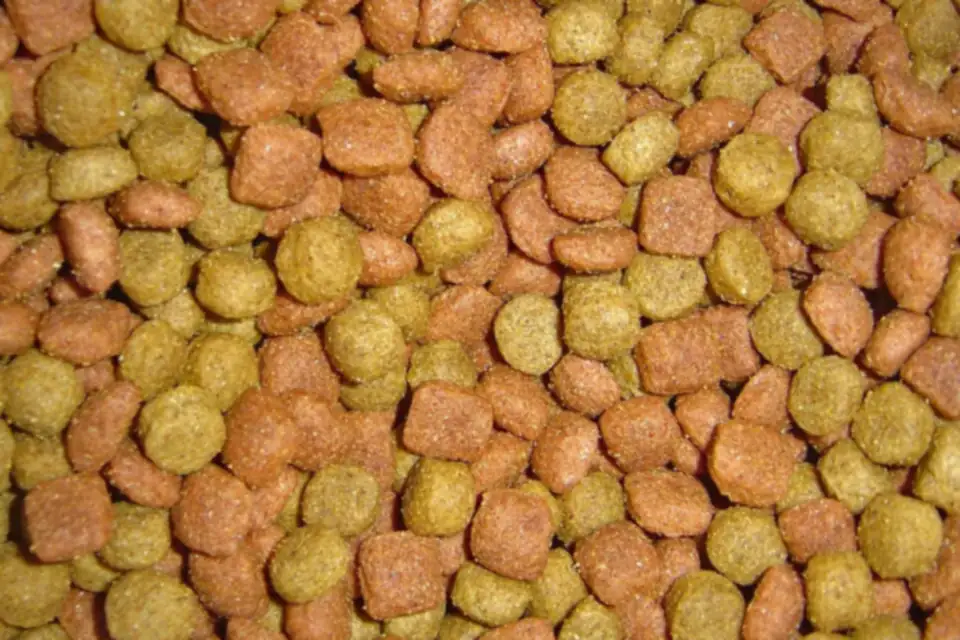 Gros plan sur des croquettes pour chien de deux couleurs